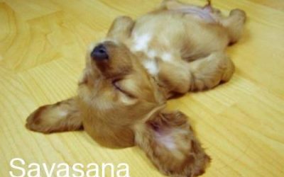 Auto Suggestion Relaxations
