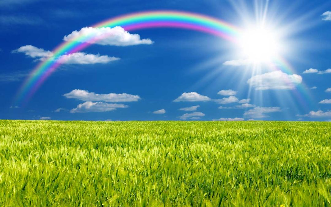 sunshine and rainbows